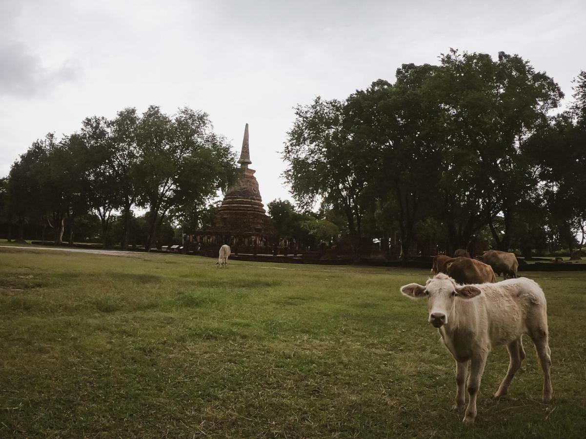 Naracha Resort Mueang Kao Extérieur photo